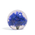 Cornflowre Paperweight Small hafod Grange│Korenbloem│vooraanzicht