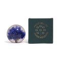 Cornflowre Paperweight Small hafod Grange│Korenbloem│naast verpakking