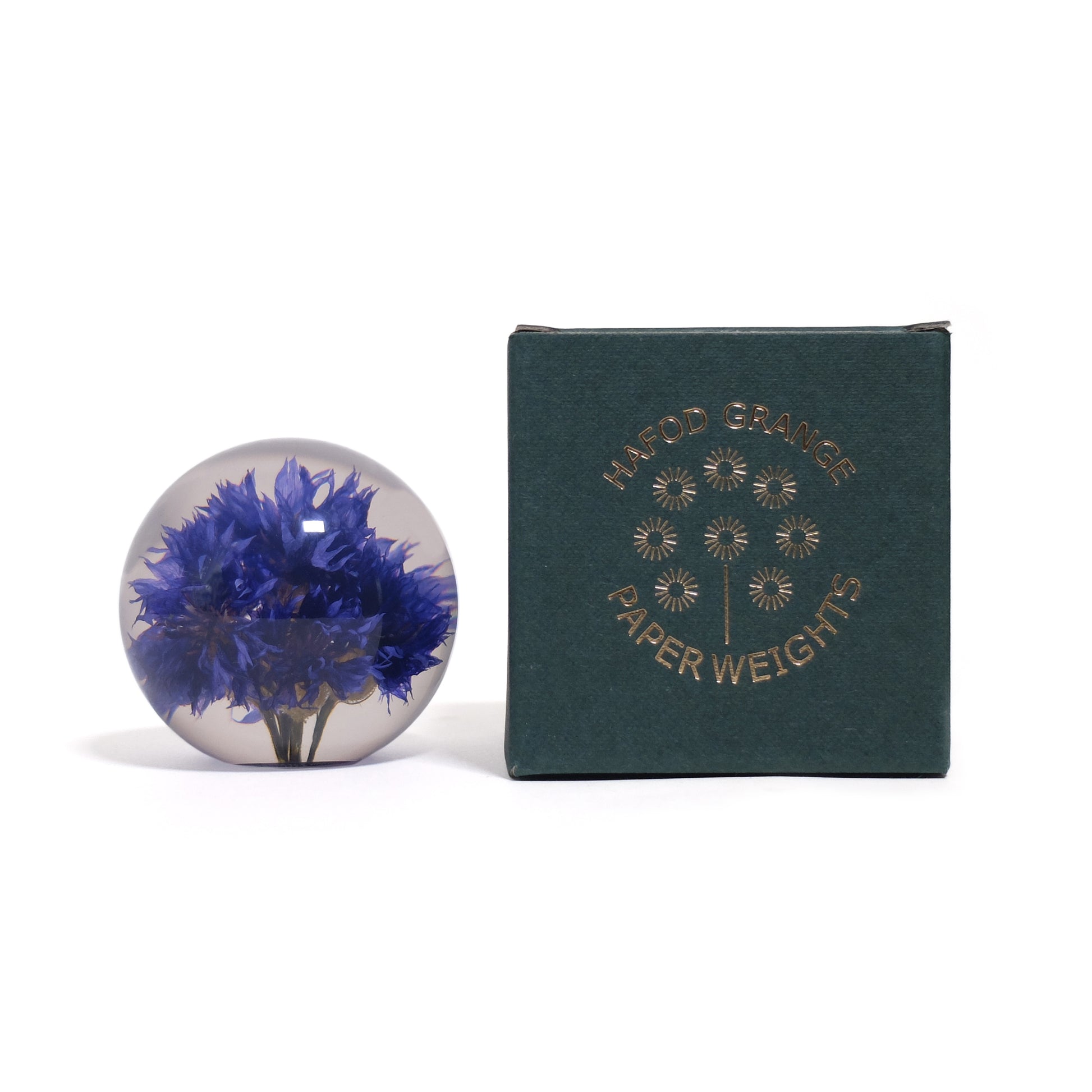 Cornflowre Paperweight Small hafod Grange│Korenbloem│naast verpakking