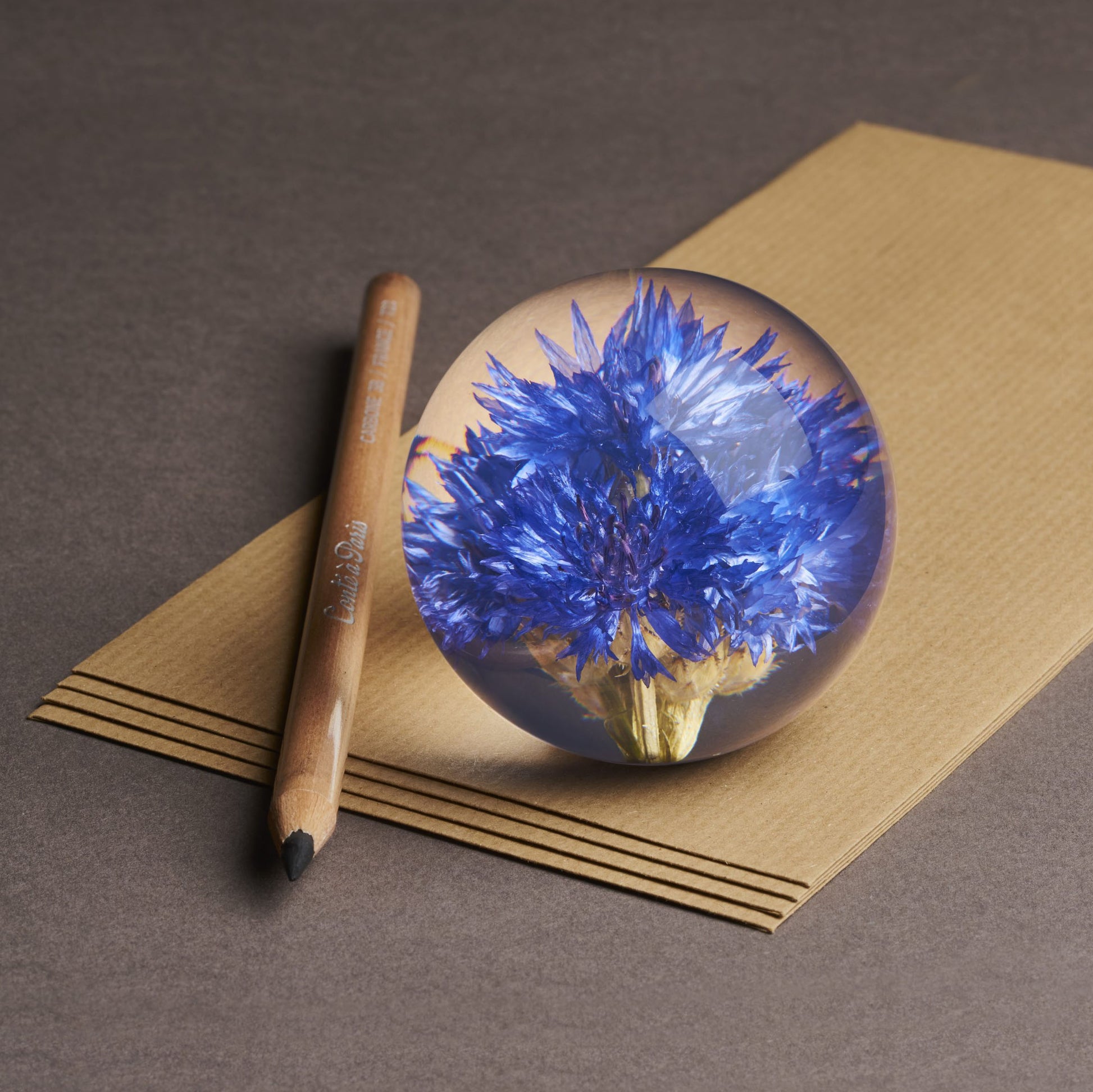 Cornflowre Paperweight Small Hafod Grange│Korenbloem│op papier naast potlood