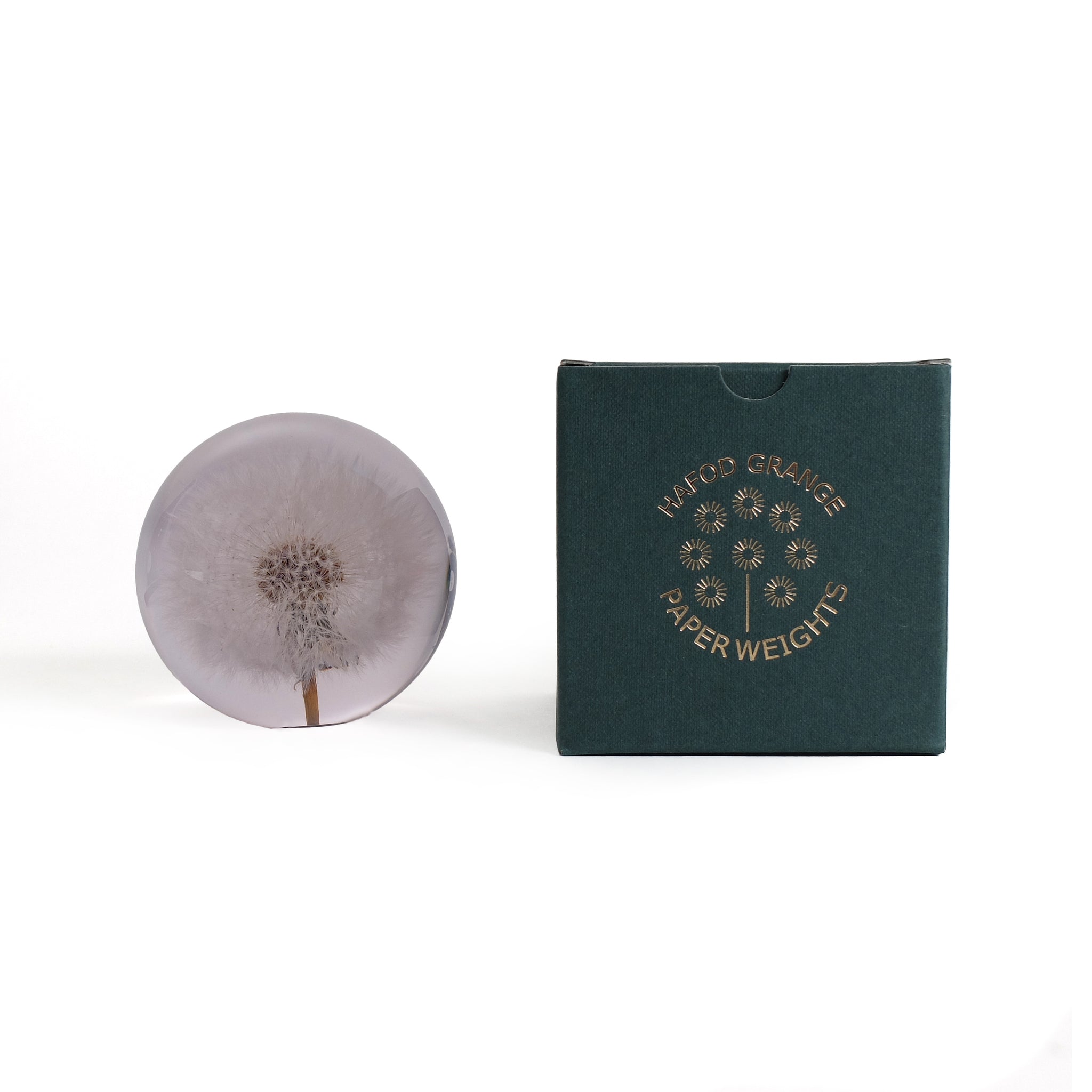 Dandelion Paperweight large│Presse papier│Hafod Grange│Paardenbloem│voorkant met verpakking