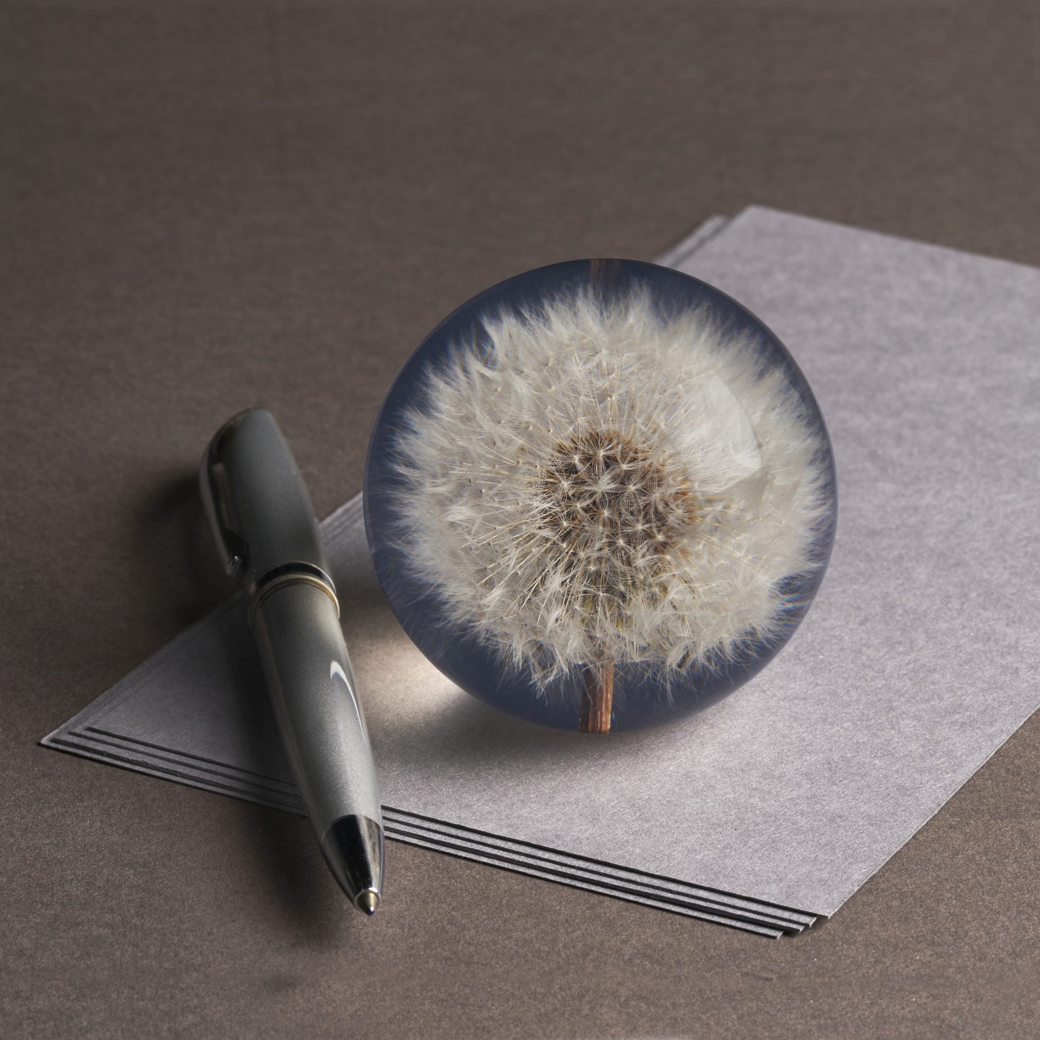 Dandelion Paperweight Small│Presse-papier Hafod Grange│Paardenbloem│op losse vellen papier met pen