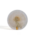 Dandelion Paperweight Small│Presse-papier Hafod Grange│Paardenbloem│Voorkant met witte achtergrond