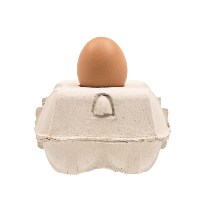 Eggboxlamp Classic│met egglamp bruin met witte achtergrond