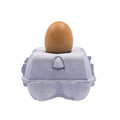 EggboxLamp Sky│Tafellamp Eierdoos│vooraanzicht met Egglamp Bruin en witte achtergrond