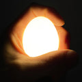 Egglamp Wit│met licht in hand vastgehouden