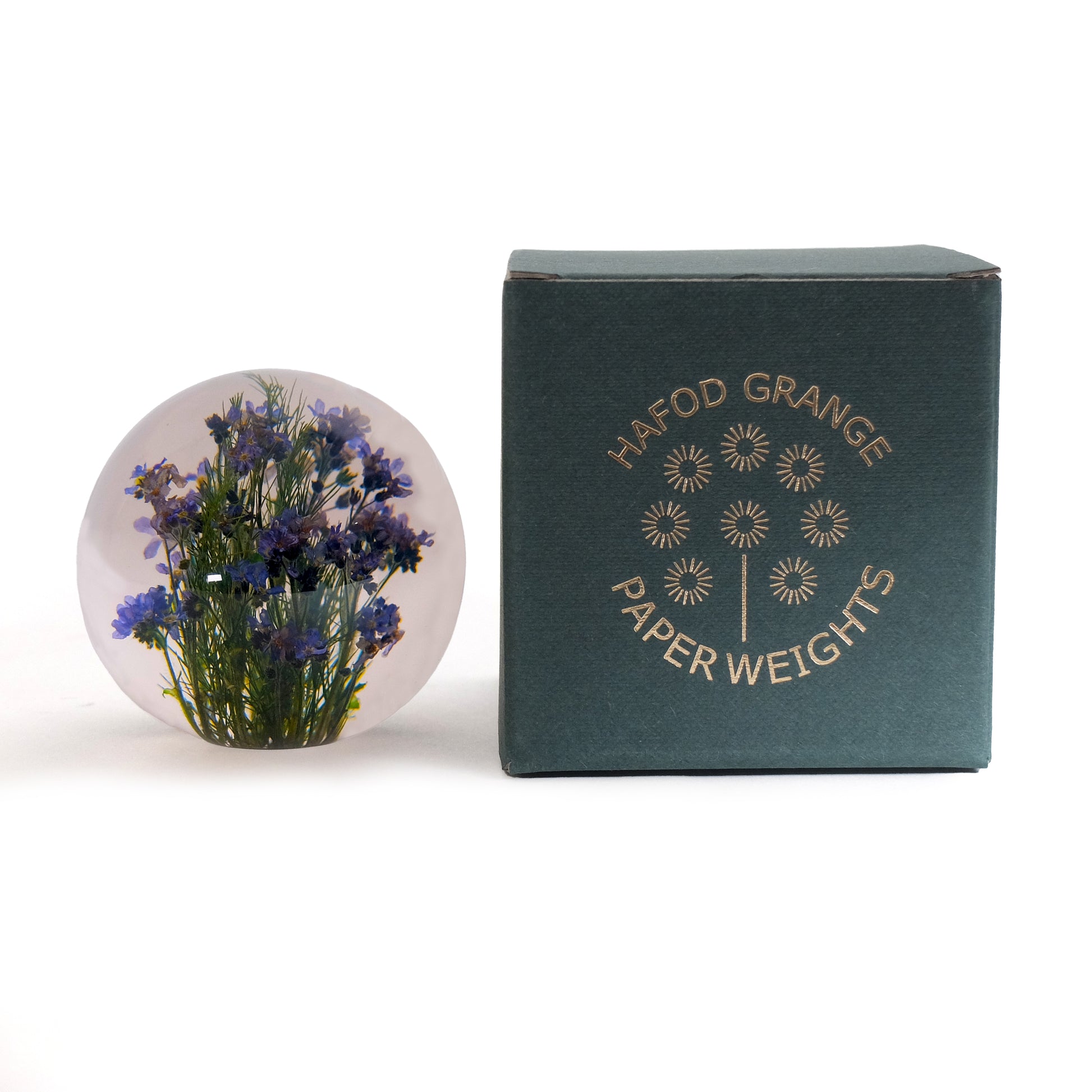 Forget-Me-Not Paperweight│Presse-Papier vergeet-me-nietjes│Hafod Grange│voorkant naast verpakking