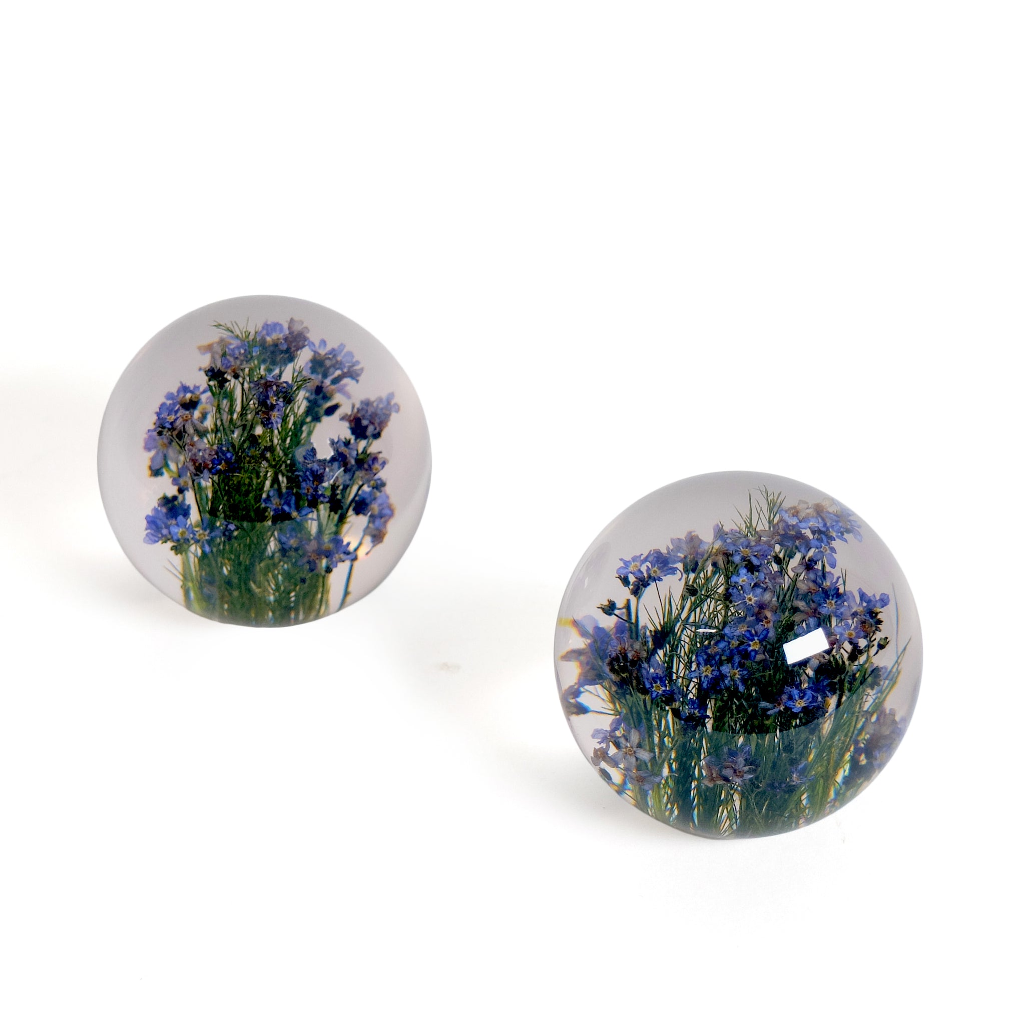 Forget-Me-Not Paperweight│Presse-Papier vergeet-me-nietjes│Hafod Grange│twee maal schuin bovenaanzicht