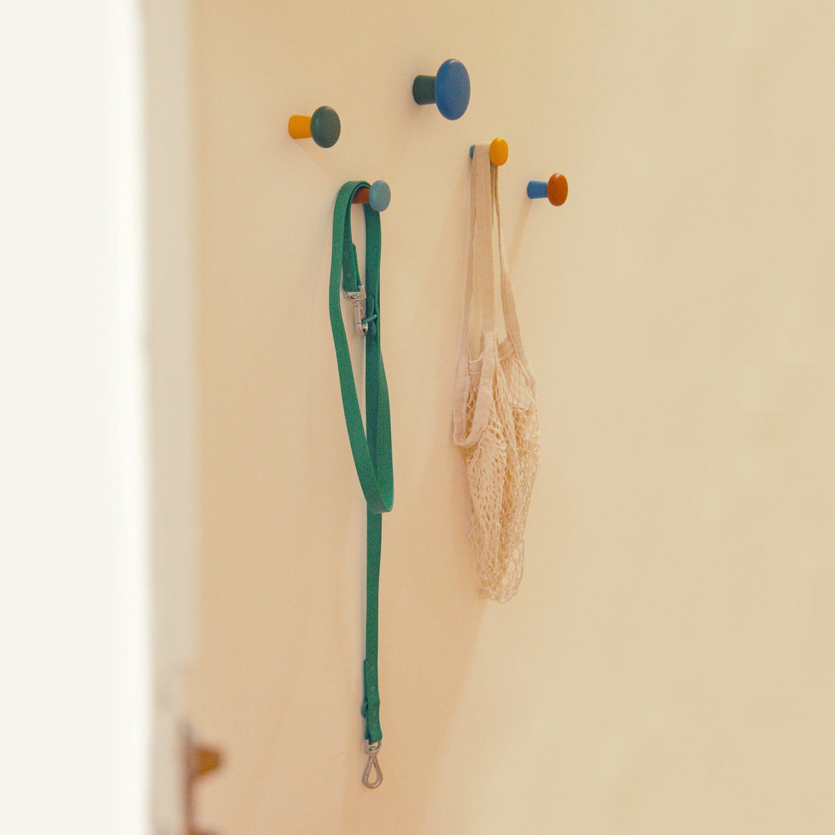 Harbor wall hooks with a shopping bag and a dog lead hanging from them.