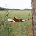 Leaf Me Birdfeeder hangt tegen boom met vetbol in het schaaltje