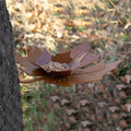 Bovenaanzicht schuin van Birdfeeder Leaf Me van Heeej met voer in schaaltje