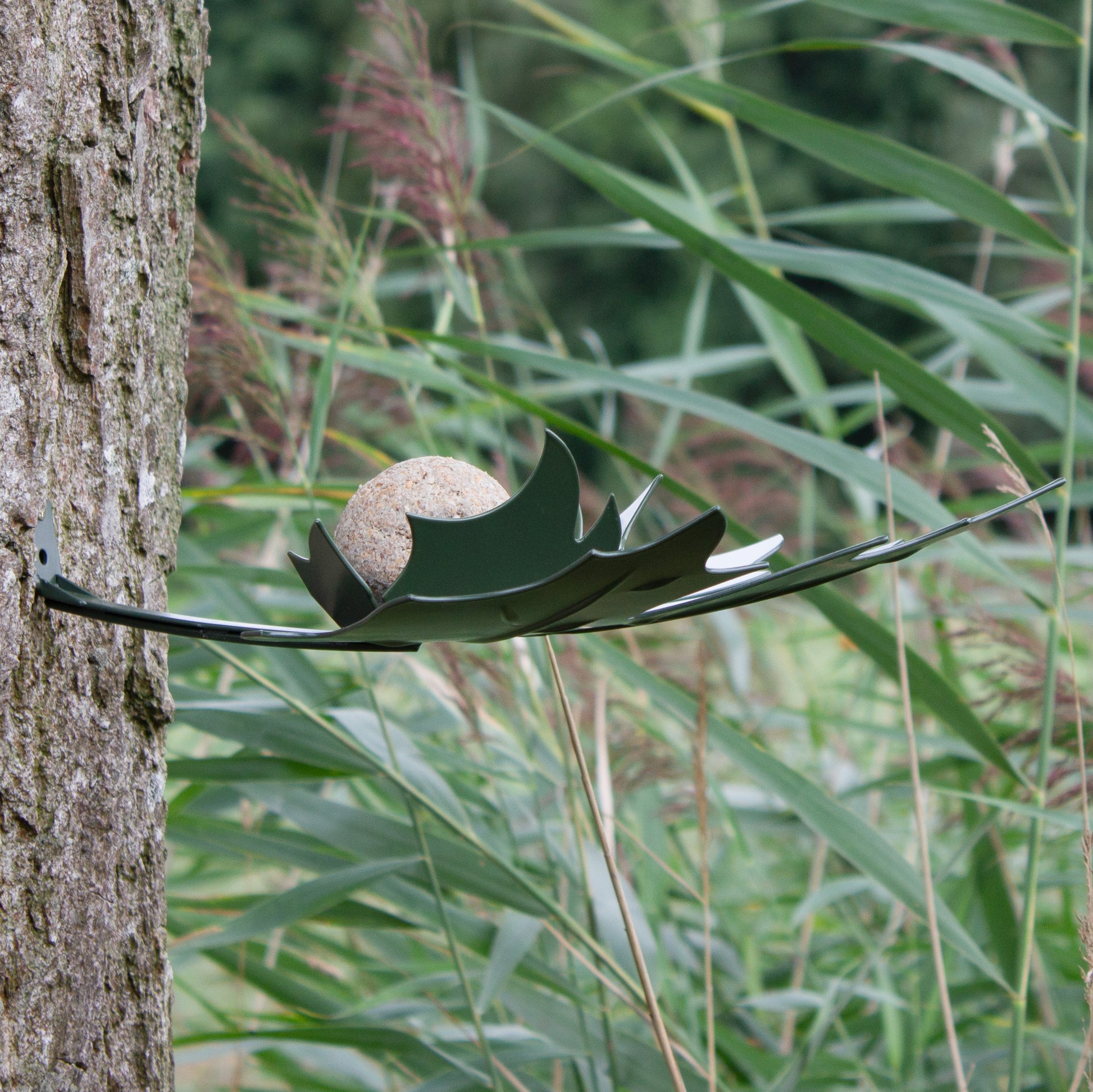 close-up van Leaf Me Vogelvoederschaal met een vetbol tegen een dikke boomstam