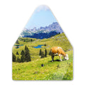 Heidibox Alpenweide│Huisje met Alpengeluiden│art. 11HBX0701001│voorkant