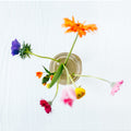 Flower Constellation RVS Large│House of Thol│bovenaanzicht op vaas