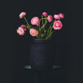 Flower Constellations RVS X-Large│House of Thol│in zwarte vaas met donker achtergrond