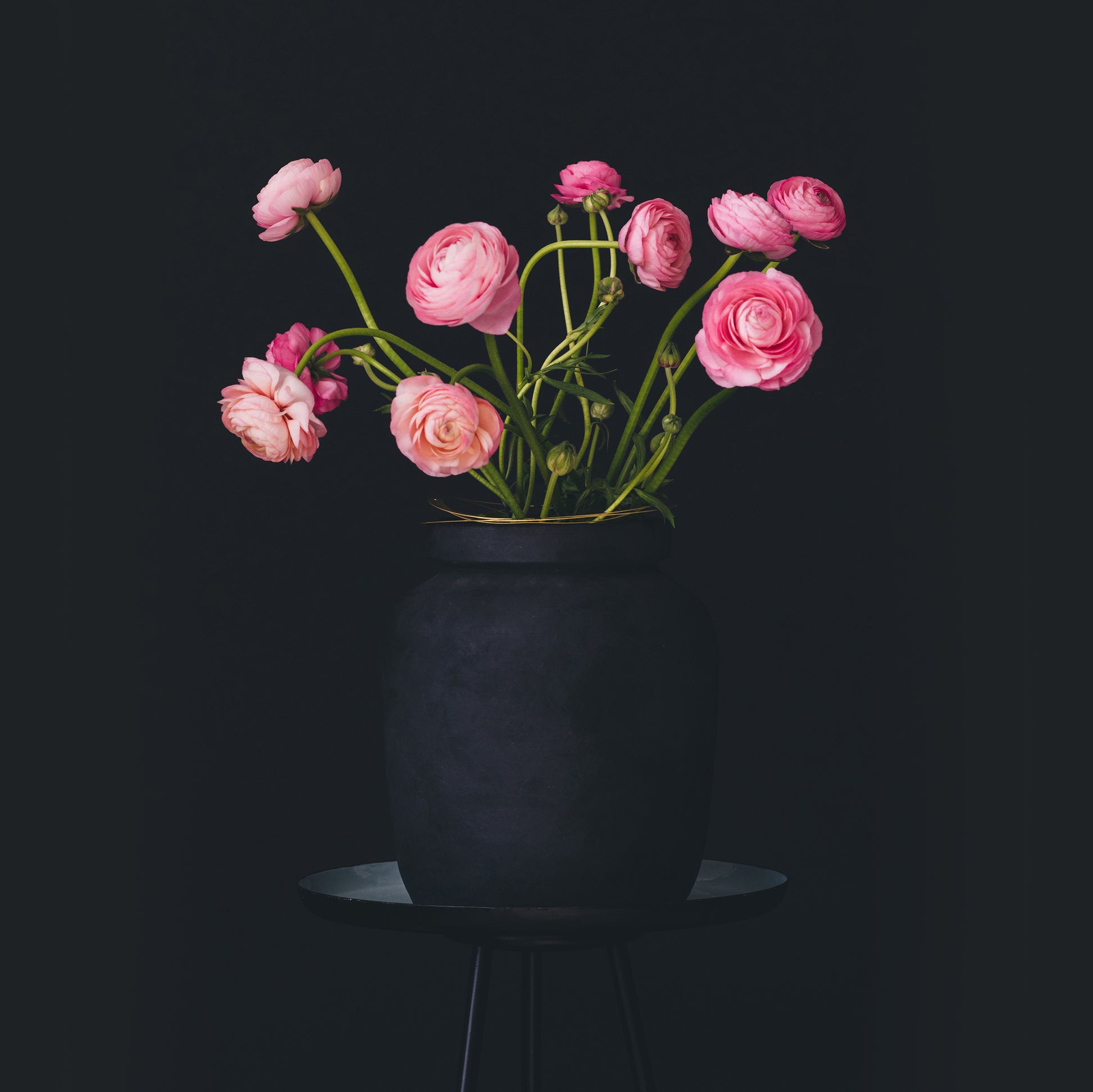 Flower Constellations RVS X-Large│House of Thol│in zwarte vaas met donker achtergrond
