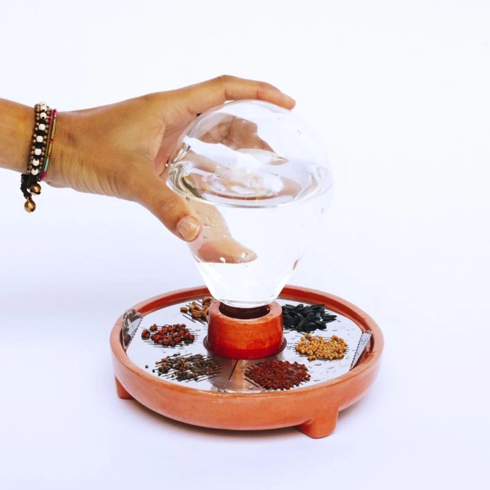 Patella Crescenda Zaadjes│Starterkit│House of Thol│hand op water reservoir