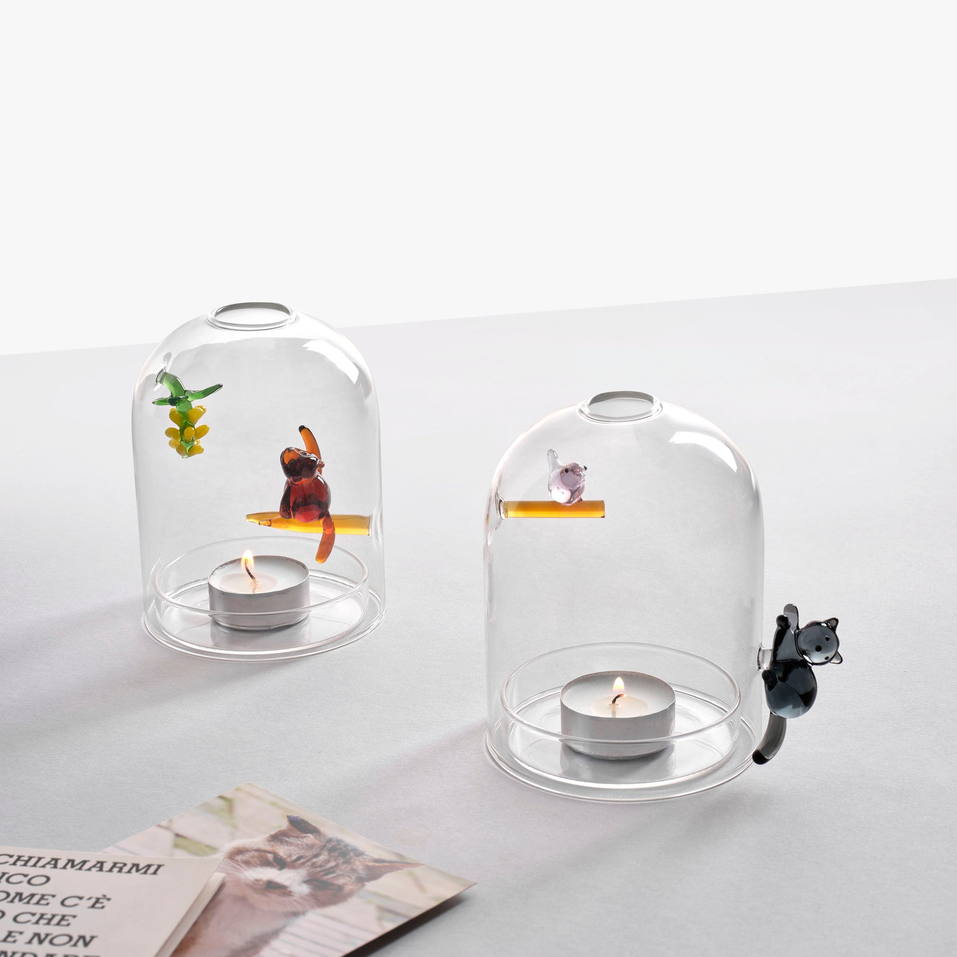 Windlicht Birds Ichendorf Milano│diverse uitvoeringen op tafel met tijdschrift