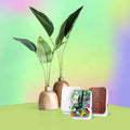 Junglebox Tropic Relaxound│Oerwoudgeluiden│art. 11JGL0701001│3 soortten op tafel met planten