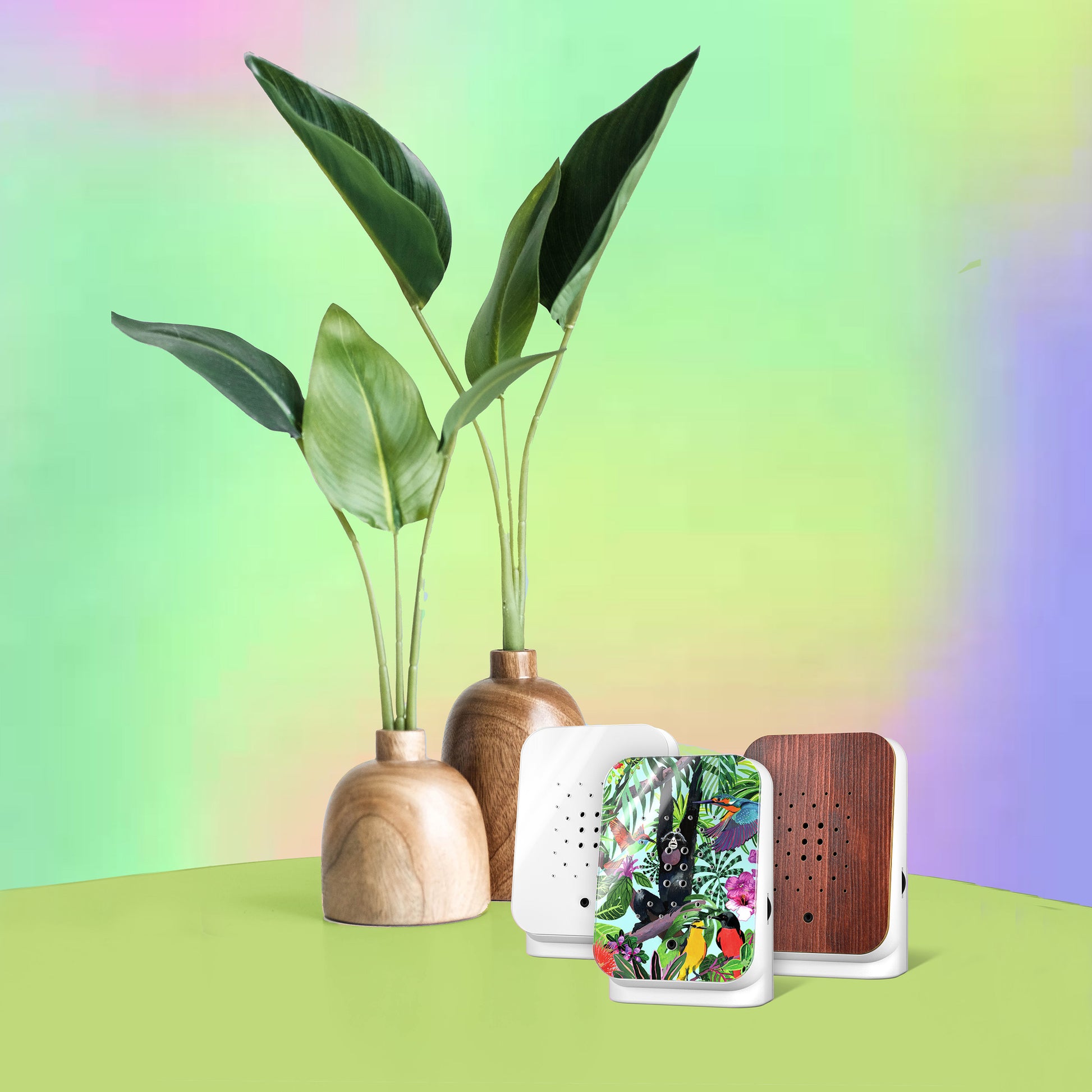 Junglebox Tropic Relaxound│Oerwoudgeluiden│art. 11JGL0701001│3 soortten op tafel met planten