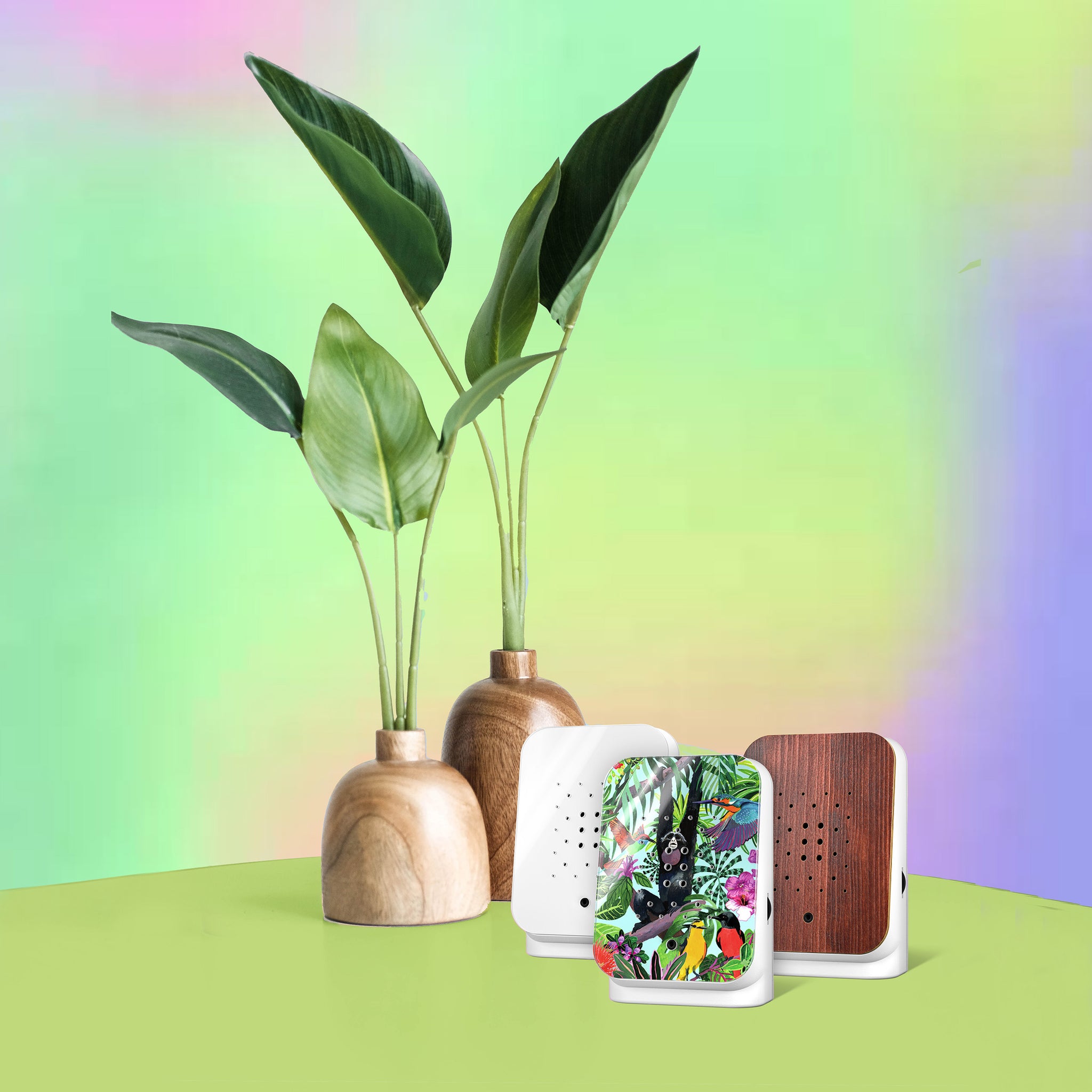 Junglebox Wit Relaxound│Oerwoudgeluiden│art. 11JGL0101001│3 soorten op tafel naast plant