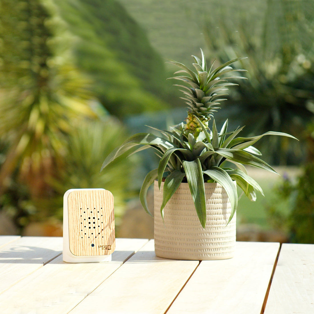 Junglebox Eikenhout Relaxound│Oerwoudeluiden│art. 11JGL0201002│vooraanzicht met witte achtergrond