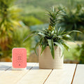 Junglebox Rosy Relaxound│Oerwoudgeluiden│art. 11JGL0101002│op buitentafel naast plant