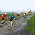 Bernard & Eddy│verschillende fietsers op kasseienstrook