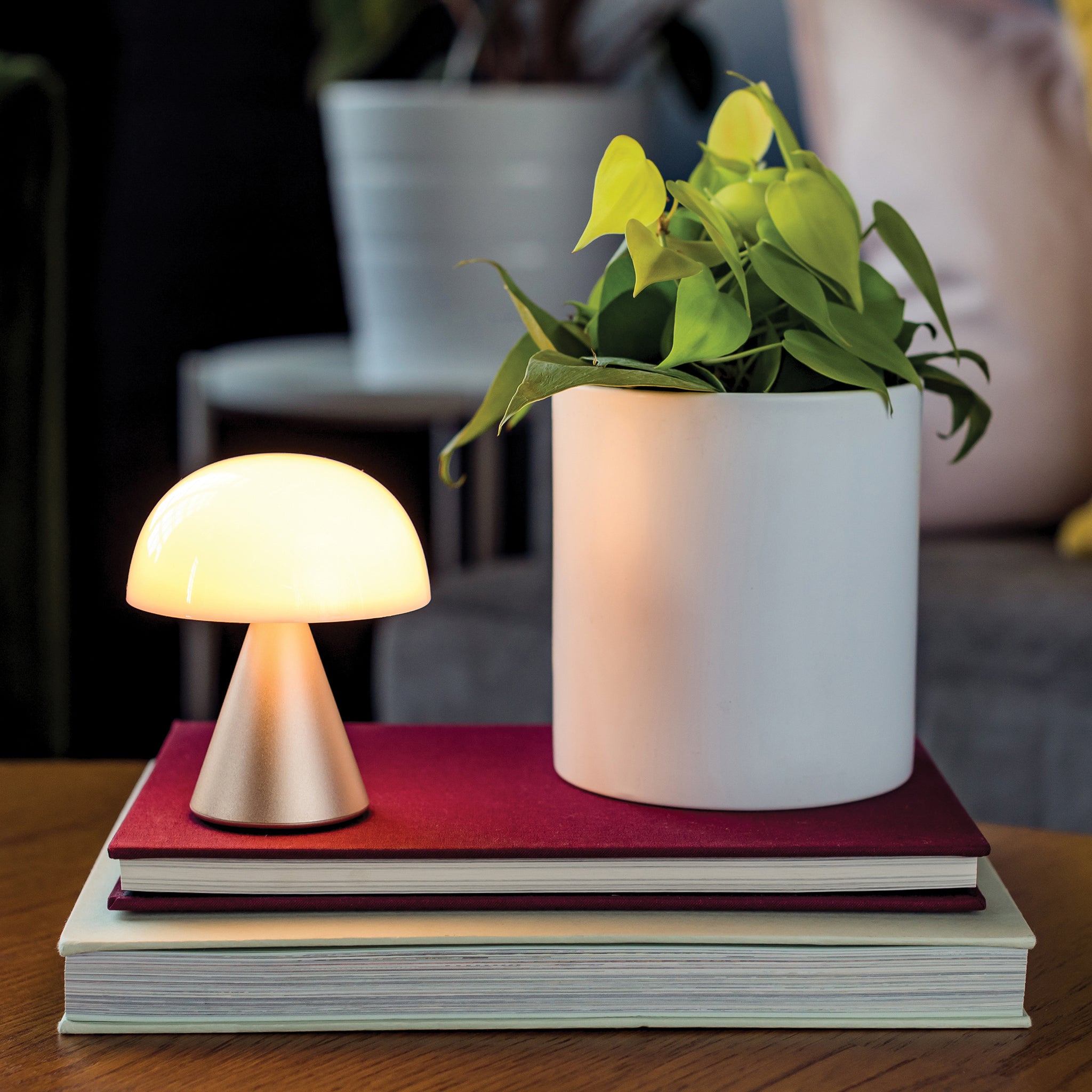 Lexon Mina Goud│Oplaadbare LED-Lamp│art. LH64MD│op boeken naast plant