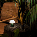 Lexon Mina Small Oplaadbare LED-Lamp Donkergroen│art. LH60DG1│buiten op rieten tafeltje met licht aan