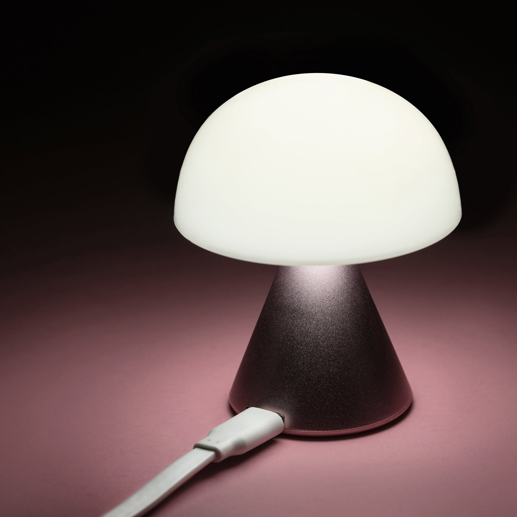 Lexon Mina Small Roze│Oplaadbare LED lamp│art. LH60MLP│wit licht aan en USB-kabel