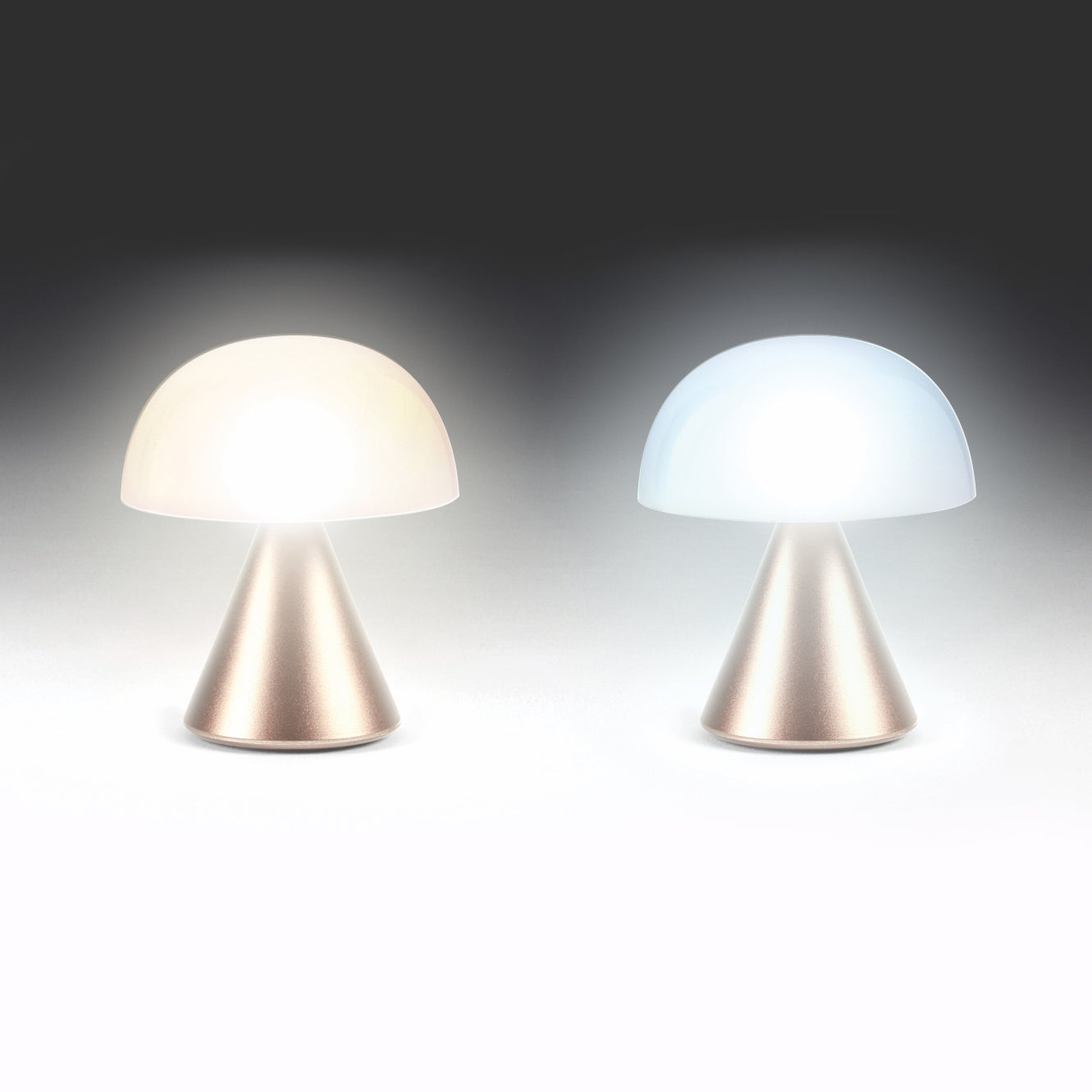 Lexon Mina Small Soft Gold│Oplaadbare LED lamp│art. LH60MD│warm en koud licht aan
