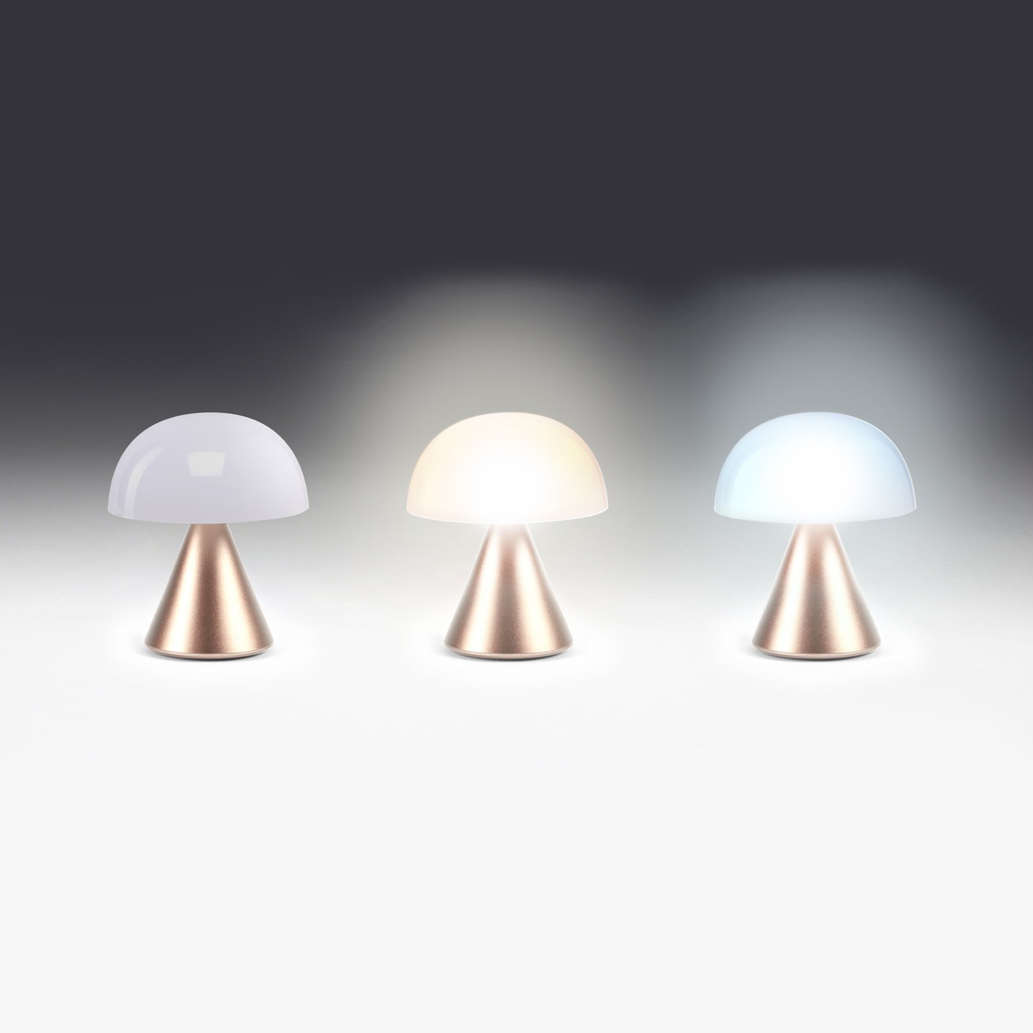 Lexon Mina Small Soft Gold│Oplaadbare LED lamp│art. LH60MD│warm en koud licht en licht uit naast elkaar