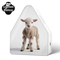 Heidibox Limited Edition Baby Schaap│Relaxound│art. 11HBX0301001│voorkant met logo Lim. Ed. 