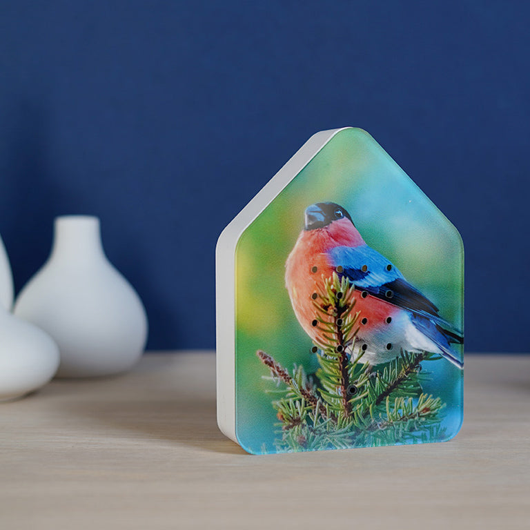 Zwitscherbox Limited Edition Goudvink│Relaxound│art. 11ZBX0301027│voorkant met logo Lim. Ed.