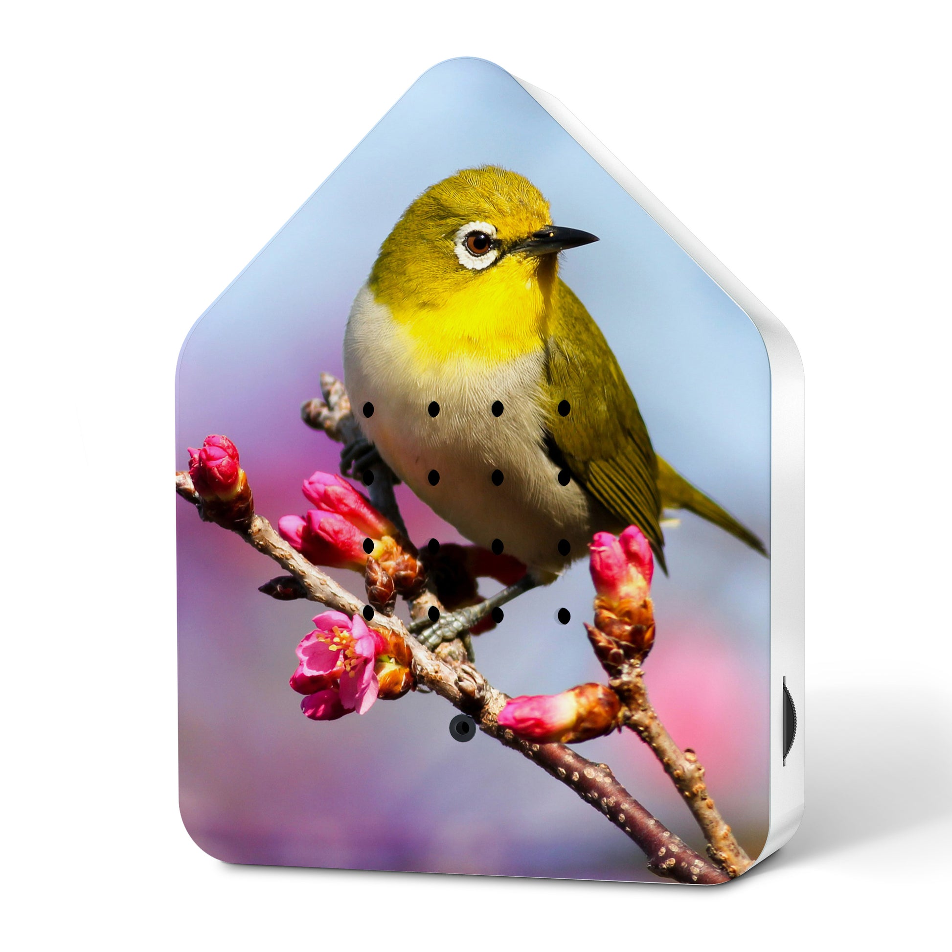 Zwitscherbox imited dition Silvereye│Vogelgeluiden│art. 11ZBX0301028│voorkant schuin