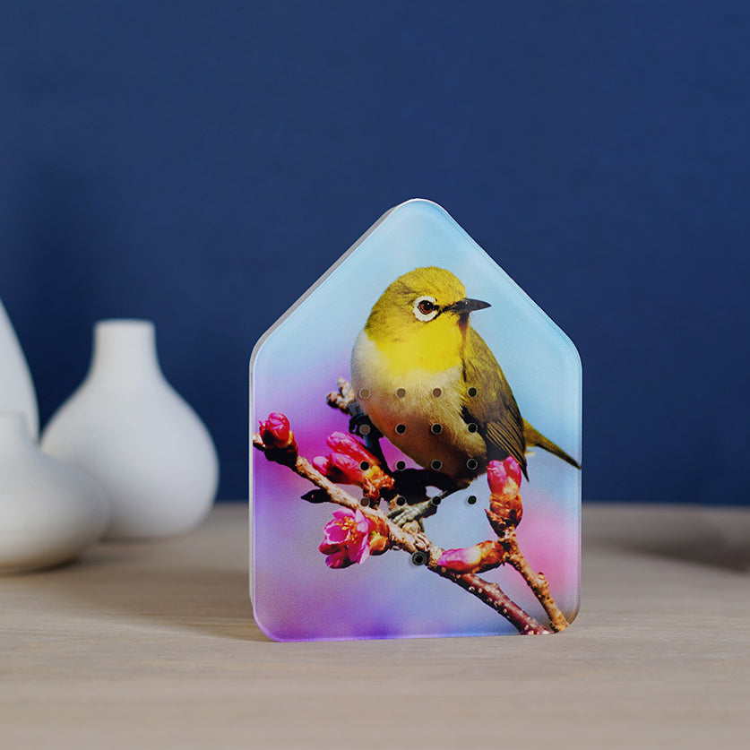 Zwitscherbox imited dition Silvereye│Vogelgeluiden│art. 11ZBX0301028│voorkant met Lim. Ed. logo