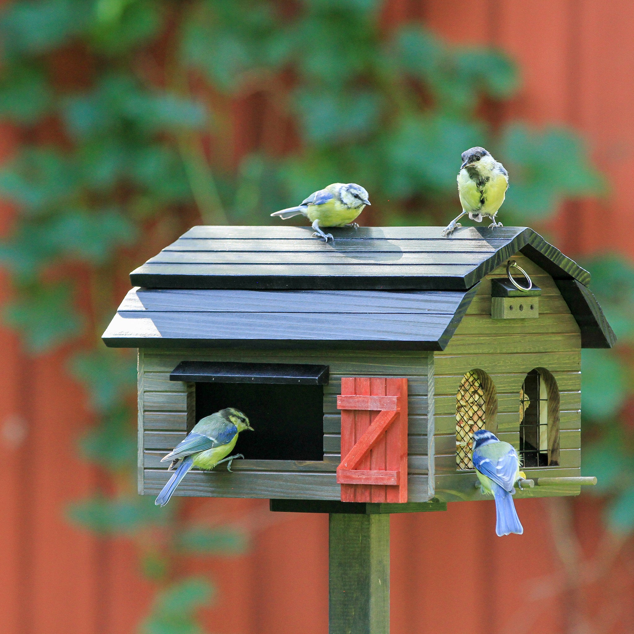 Multifeeder Schuur Bruin│Voederhuis Vogels│Wildlife garden art. WG220│op houten paal met koolmeesjes