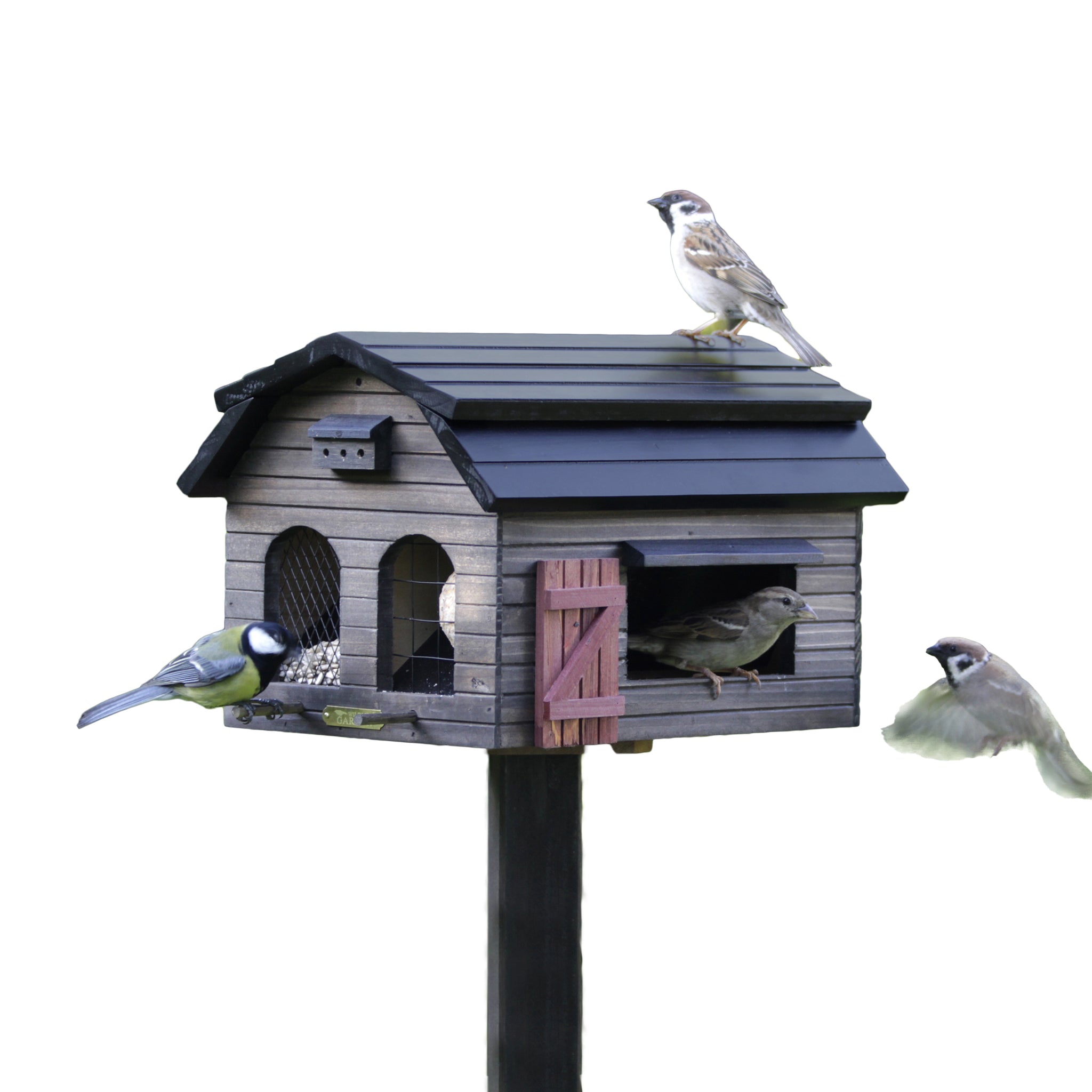 Multifeeder Schuur Bruin│Voederhuis Vogels│Wildlife garden art. WG220│met verschillende soorten vogels met witte achtergrond
