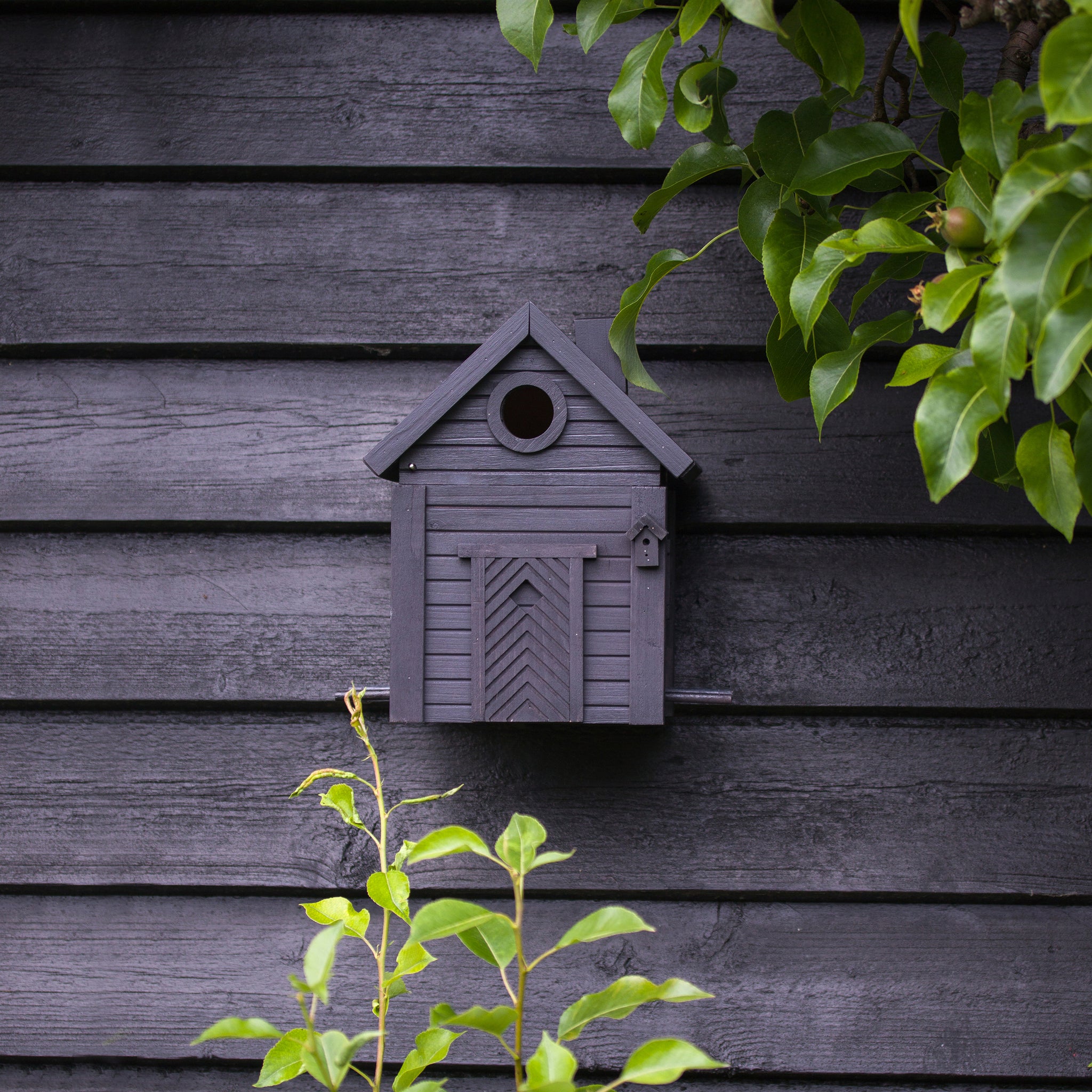 Multiholk Carbon Black Vogelhuis│Wildlife Garden│art. WG1127│vooraanzicht tegen zwart schuurtje