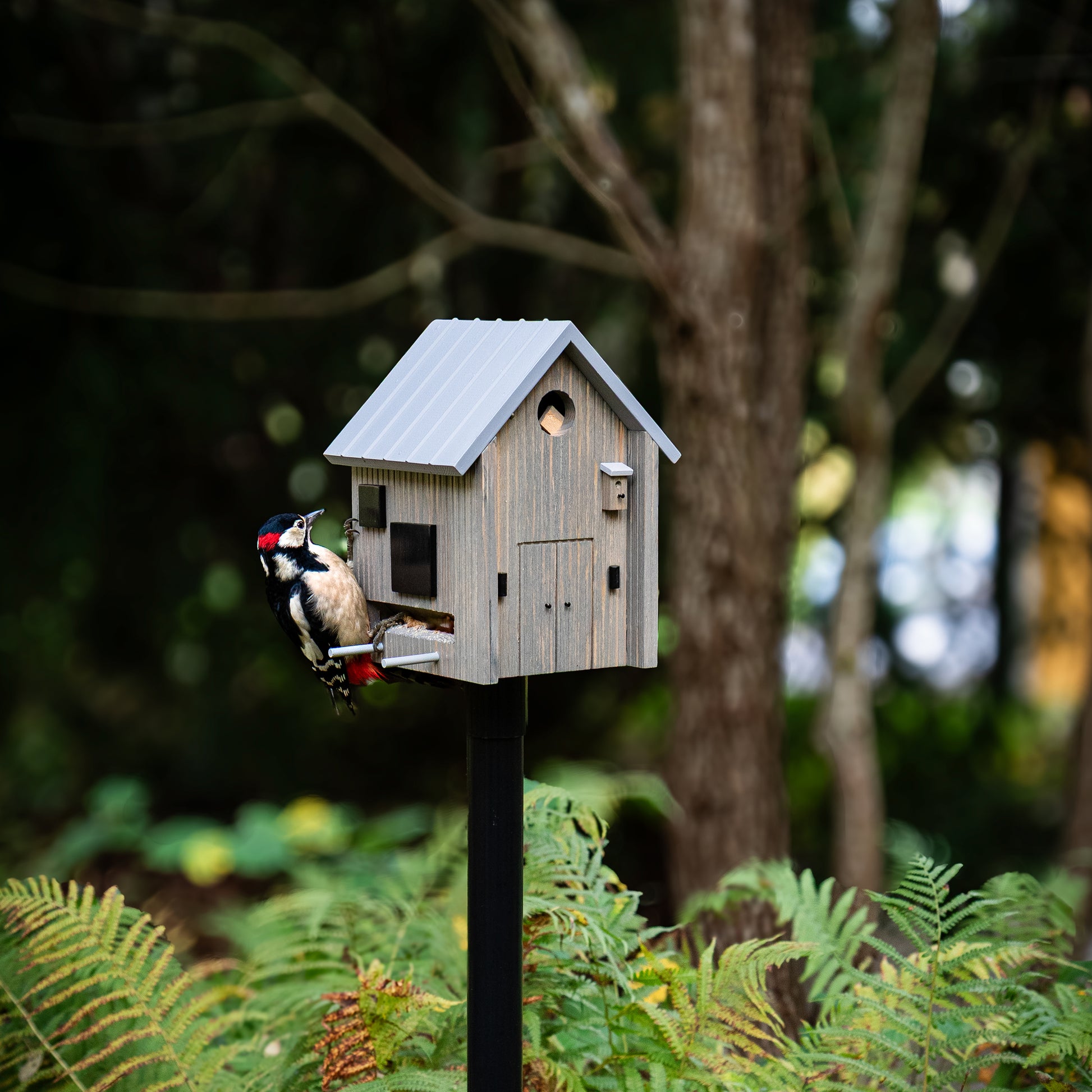 Multiholk Modern Nordic Wildlife Garden│art. WG1112│op paal in tuin met specht