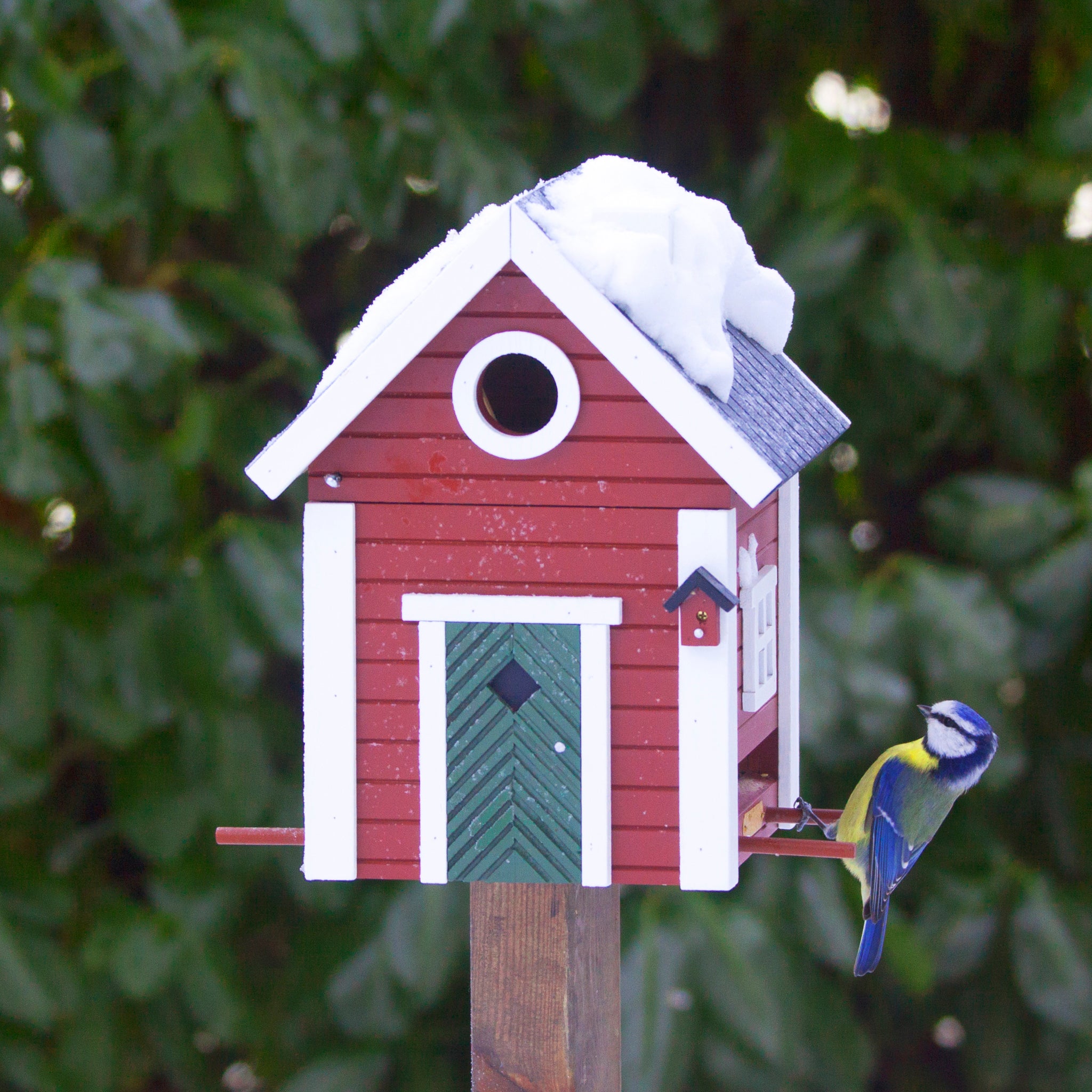 Multiholk Red Cottage Vogelhuis│Wildlife Garden│art. WG101│op houten paal met vogeltje en sneeuw op dak
