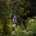 Multiholk Red Cottage Vogelhuis│Wildlife Garden│art. WG101│op metalen paal tussen bloemen