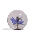 Nigella Paperweight Small hafod Grange│Juffertje in het Groen│vooraanzicht