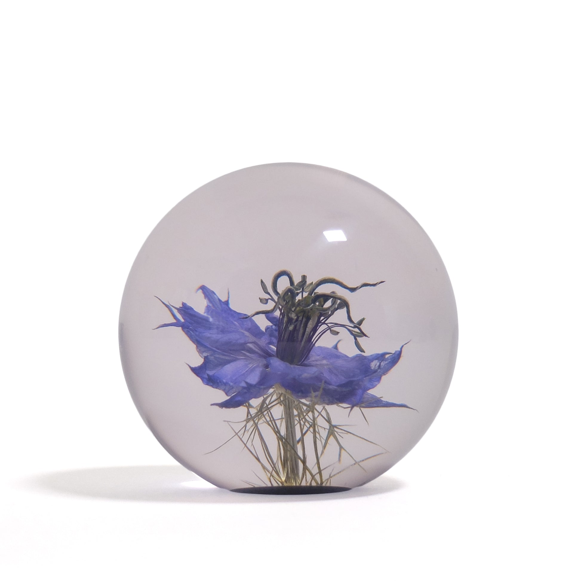Nigella Paperweight Small hafod Grange│Juffertje in het Groen│vooraanzicht