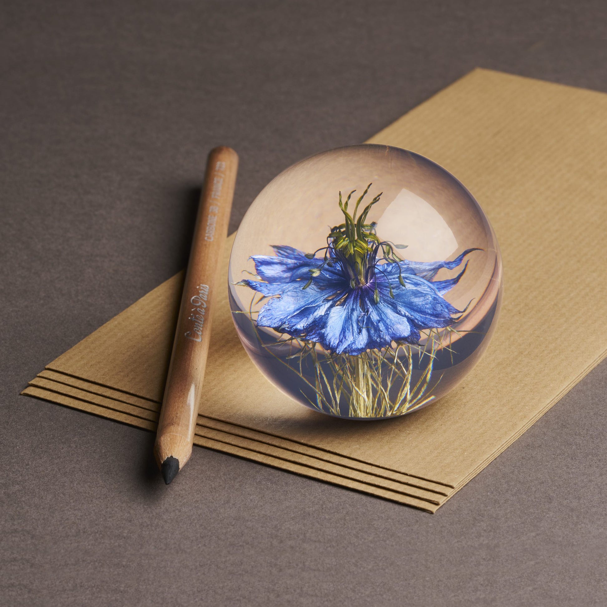 Nigella Paperweight Small hafod Grange│Juffertje in het Groen│op stapel paier naast potlood