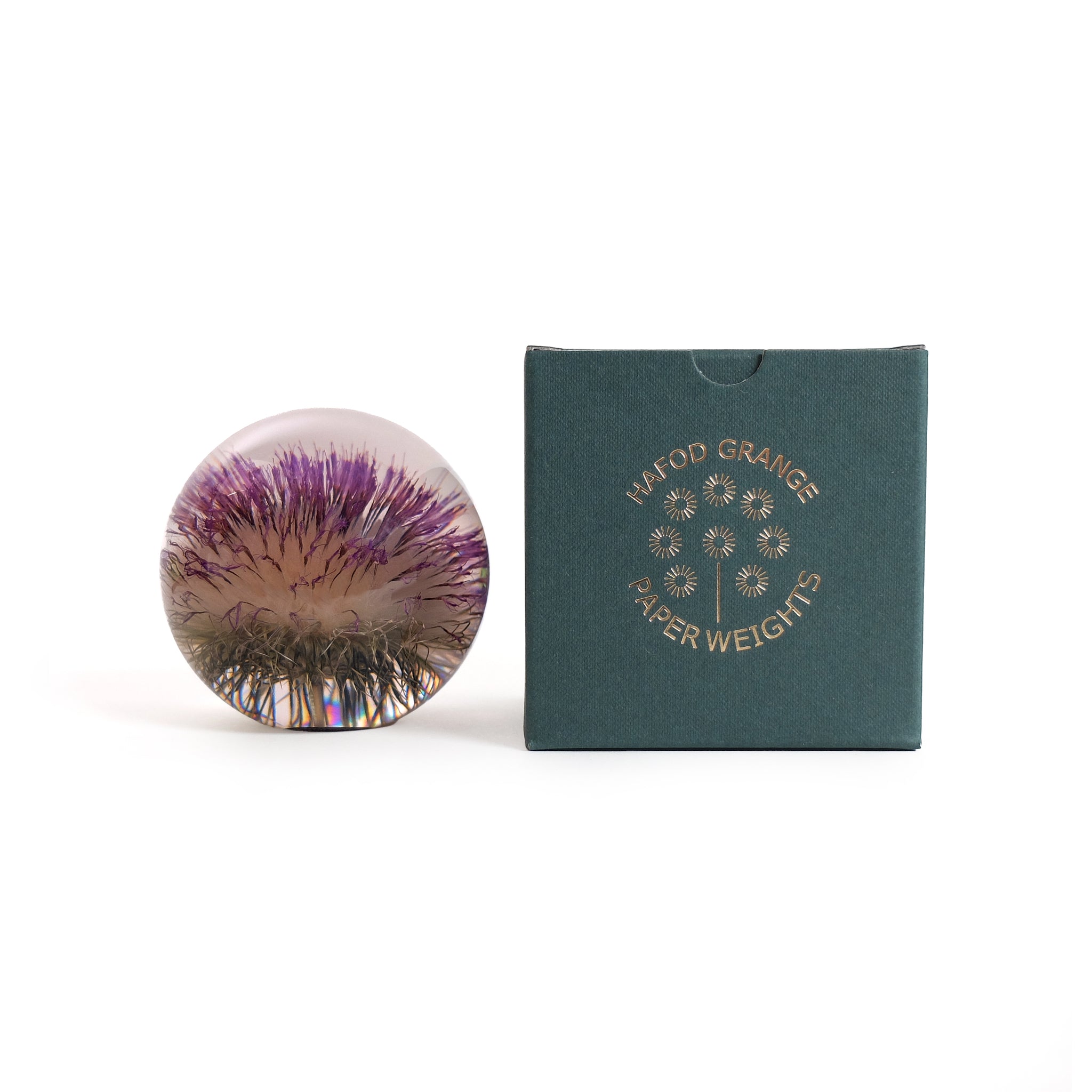 Open Thistle Paper Weight Large│Presse-Papier Distel│Hafod Grange│voorkant naast verpakking