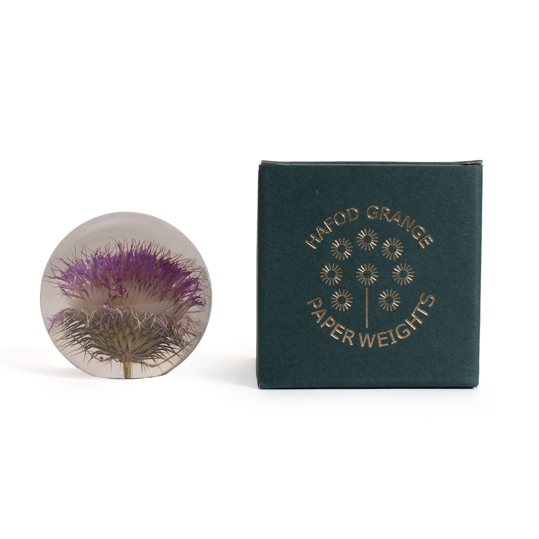 Open Thistle Paperweight Small│Hafod Grange Presse Papier│Distel│voorkant met witte achtergrond