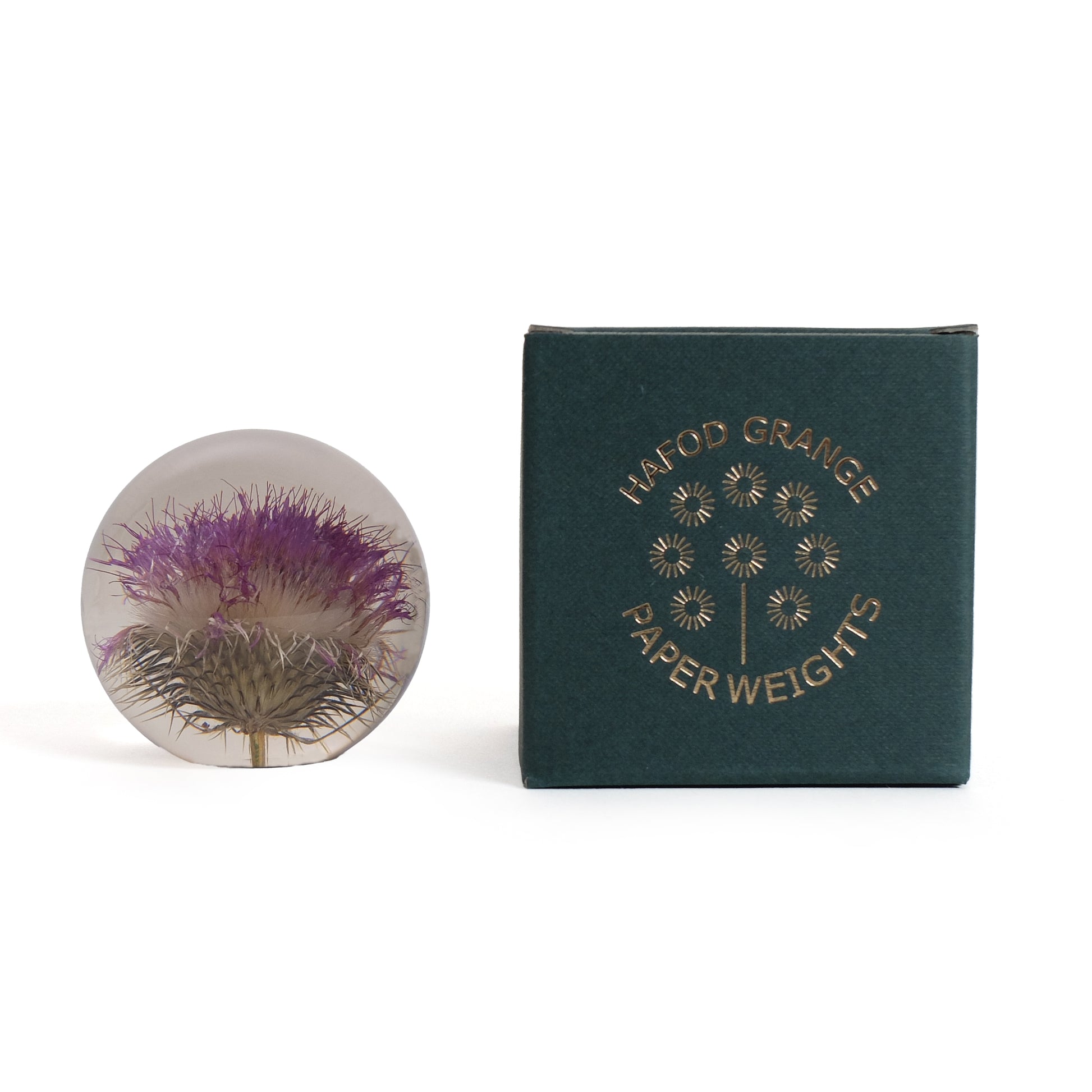Open Thistle Paperweight Small│Hafod Grange Presse Papier│Distel│voorkant naast verpakking