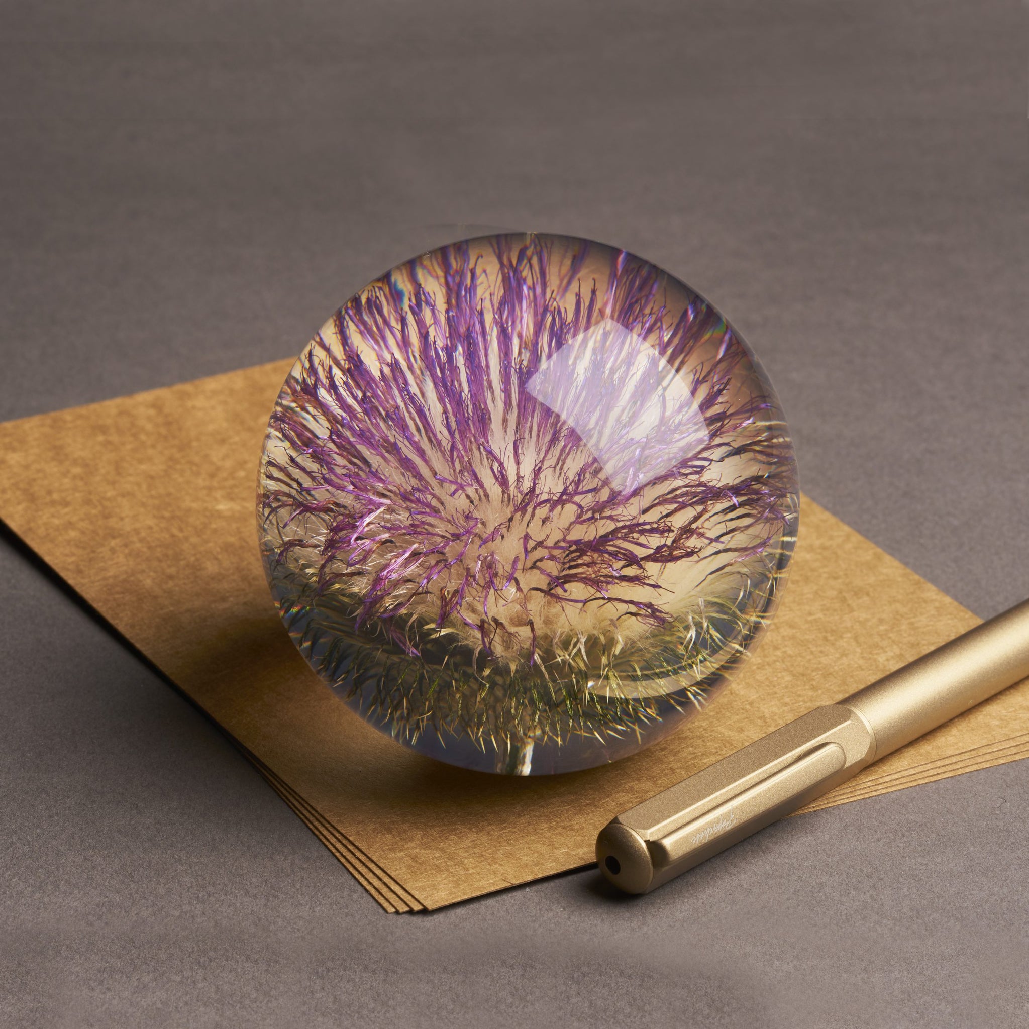 Open Thistle Paper Weight Large│Presse-Papier Distel│Hafod Grange│op losse vellen papier naast pen